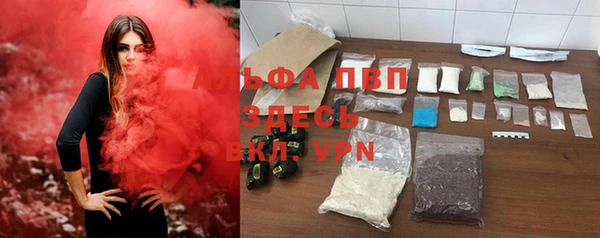 Альфа ПВП Магадан
