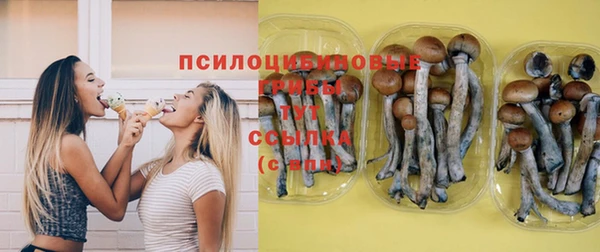 mix Богородицк