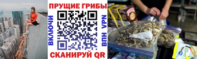 Галлюциногенные грибы прущие грибы  OMG как зайти  Инза  где найти наркотики 